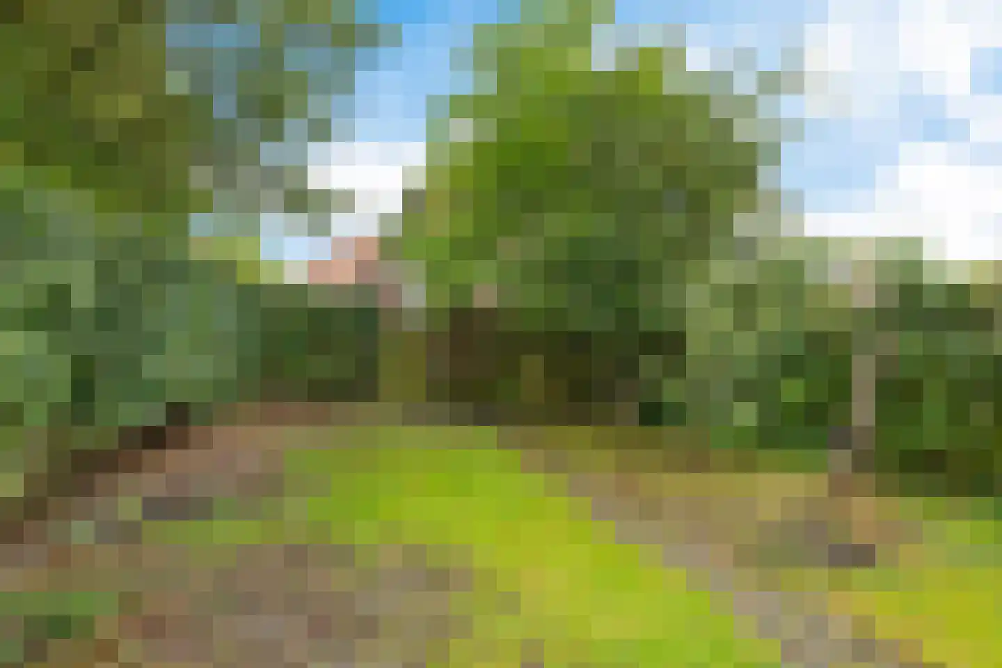 Borgweg 47 Noordhorn thumbnail 21