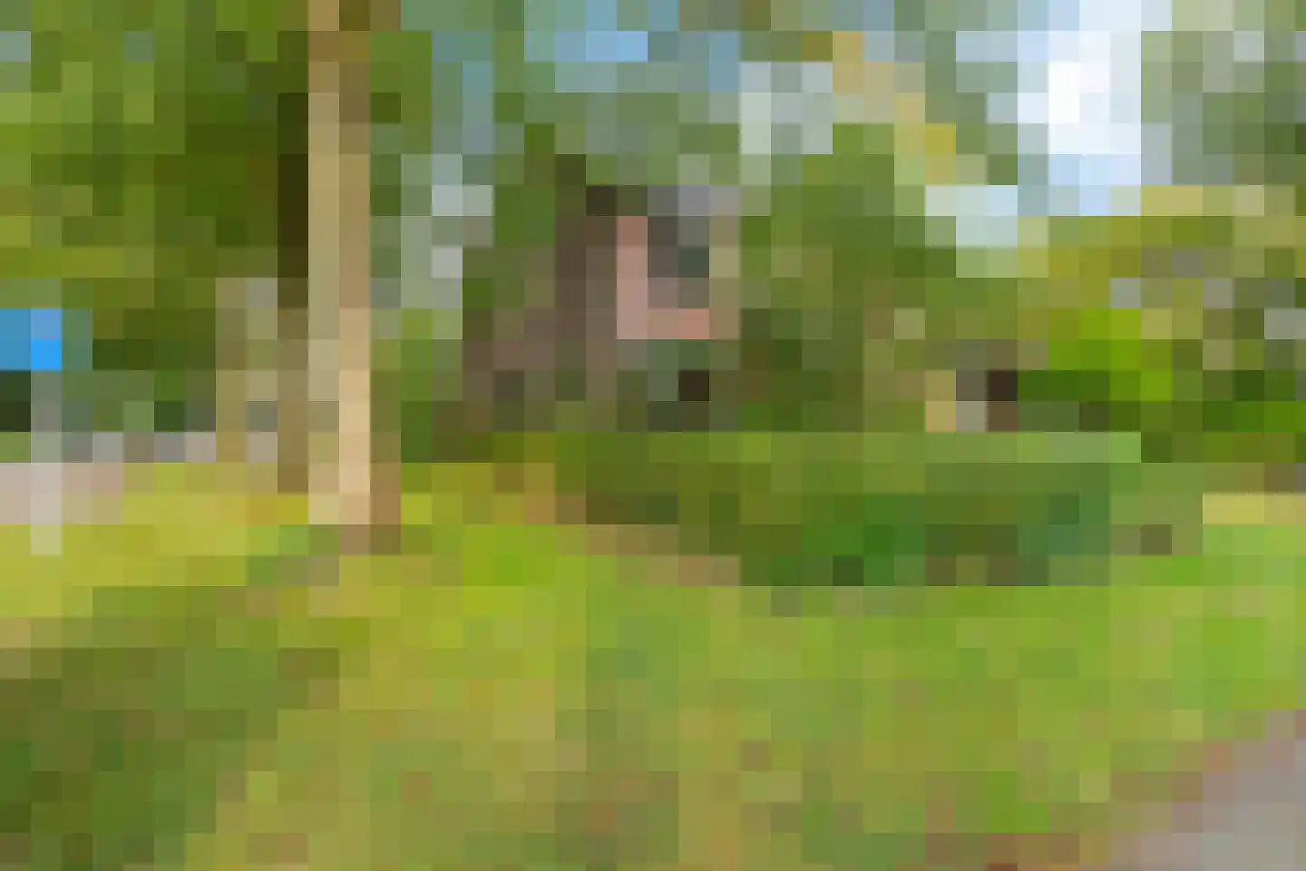 Borgweg 47 Noordhorn thumbnail 5