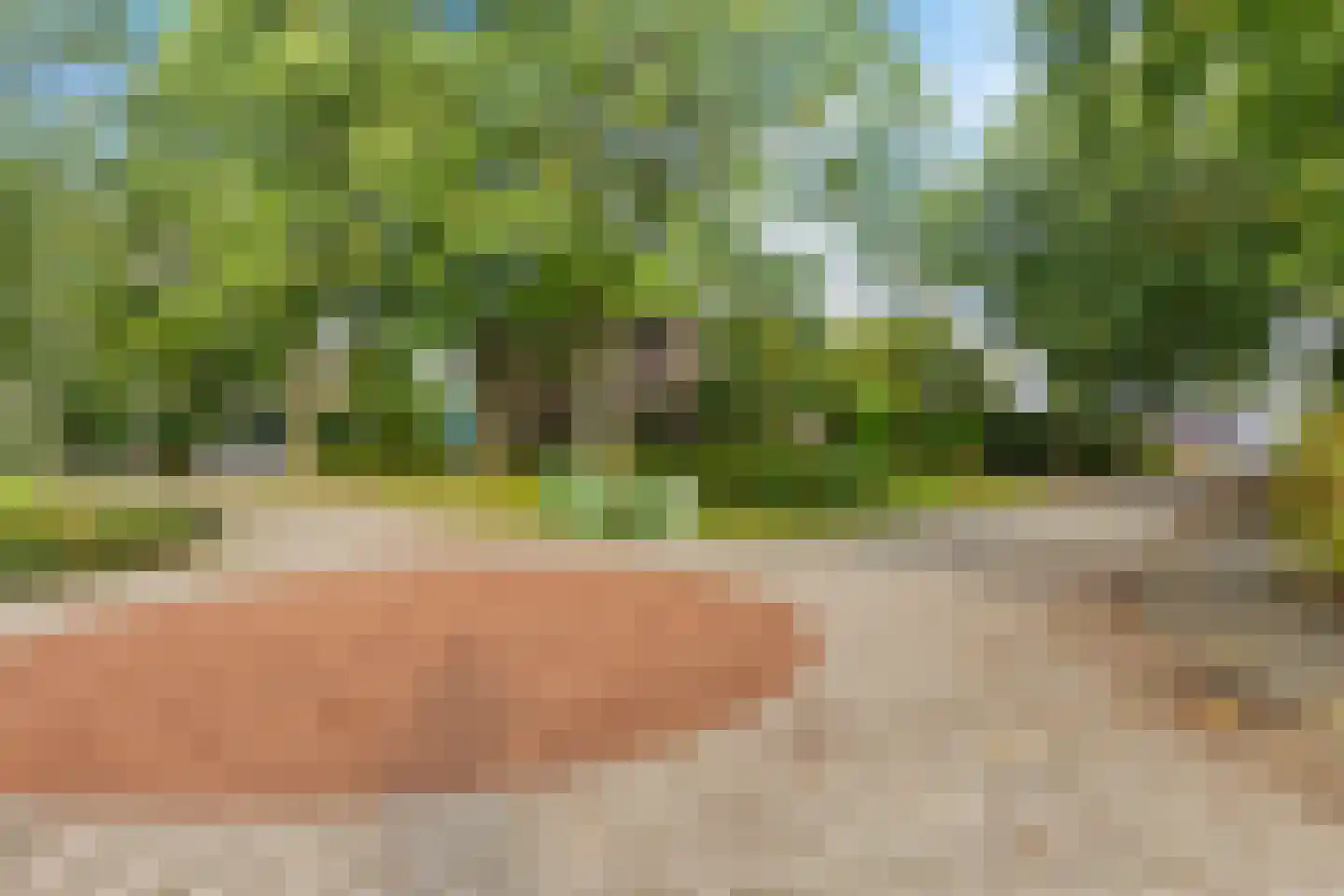 Borgweg 47 Noordhorn thumbnail 7