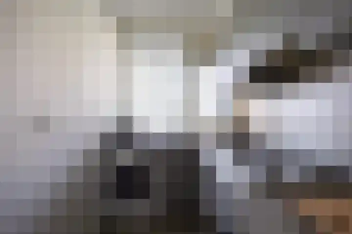Borgweg 5 Farmsum thumbnail 13