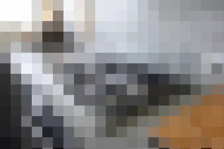 Borgweg 5 Farmsum thumbnail 14