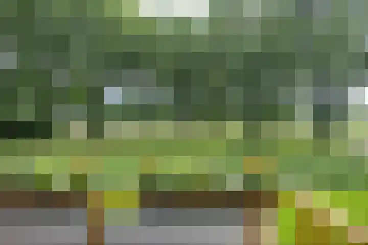 Borgweg 5 Farmsum thumbnail 23