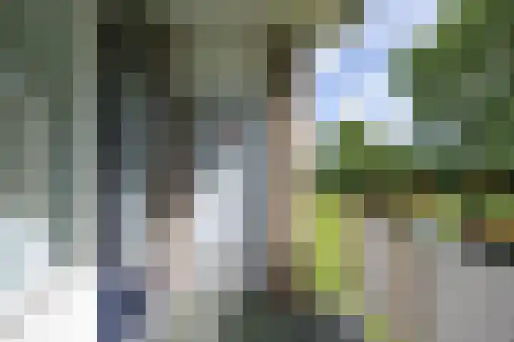 Borgweg 5 Farmsum thumbnail 25