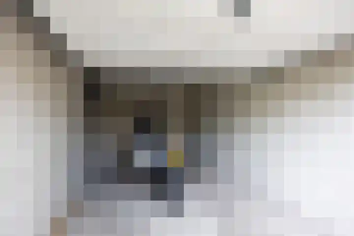 Borgweg 5 Farmsum thumbnail 42