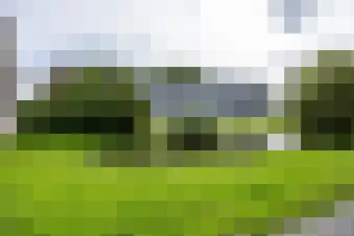 Borgweg 5 Farmsum thumbnail 47