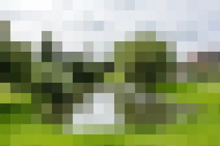 Borgweg 5 Farmsum thumbnail 48