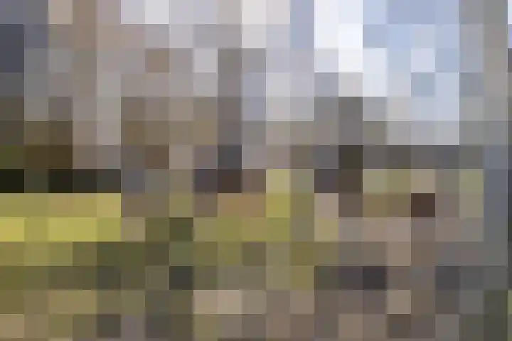 Borgweg 53 Noordhorn thumbnail 10