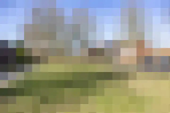 Borgweg 53 Noordhorn thumbnail 11