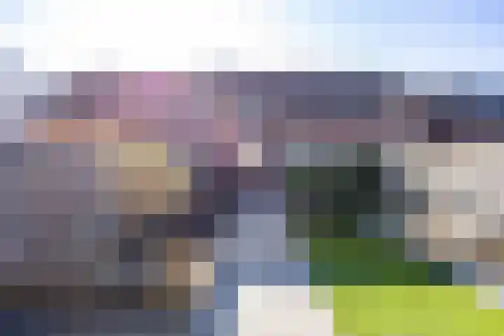 Borgweg 53 Noordhorn thumbnail 43