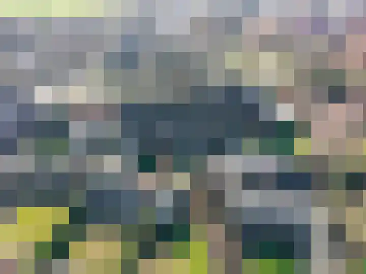 Borgweg 53 Noordhorn thumbnail 49