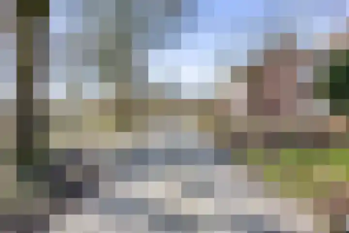 Borgweg 53 Noordhorn thumbnail 7