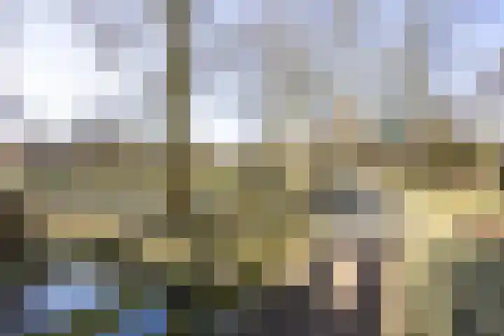 Borgweg 53 Noordhorn thumbnail 8