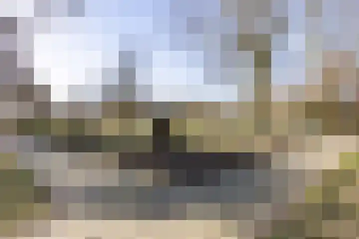 Borgweg 53 Noordhorn thumbnail 9