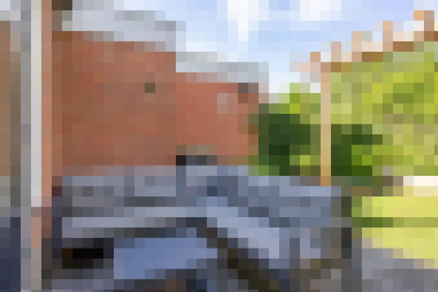Borgweg 6 Winsum thumbnail 19
