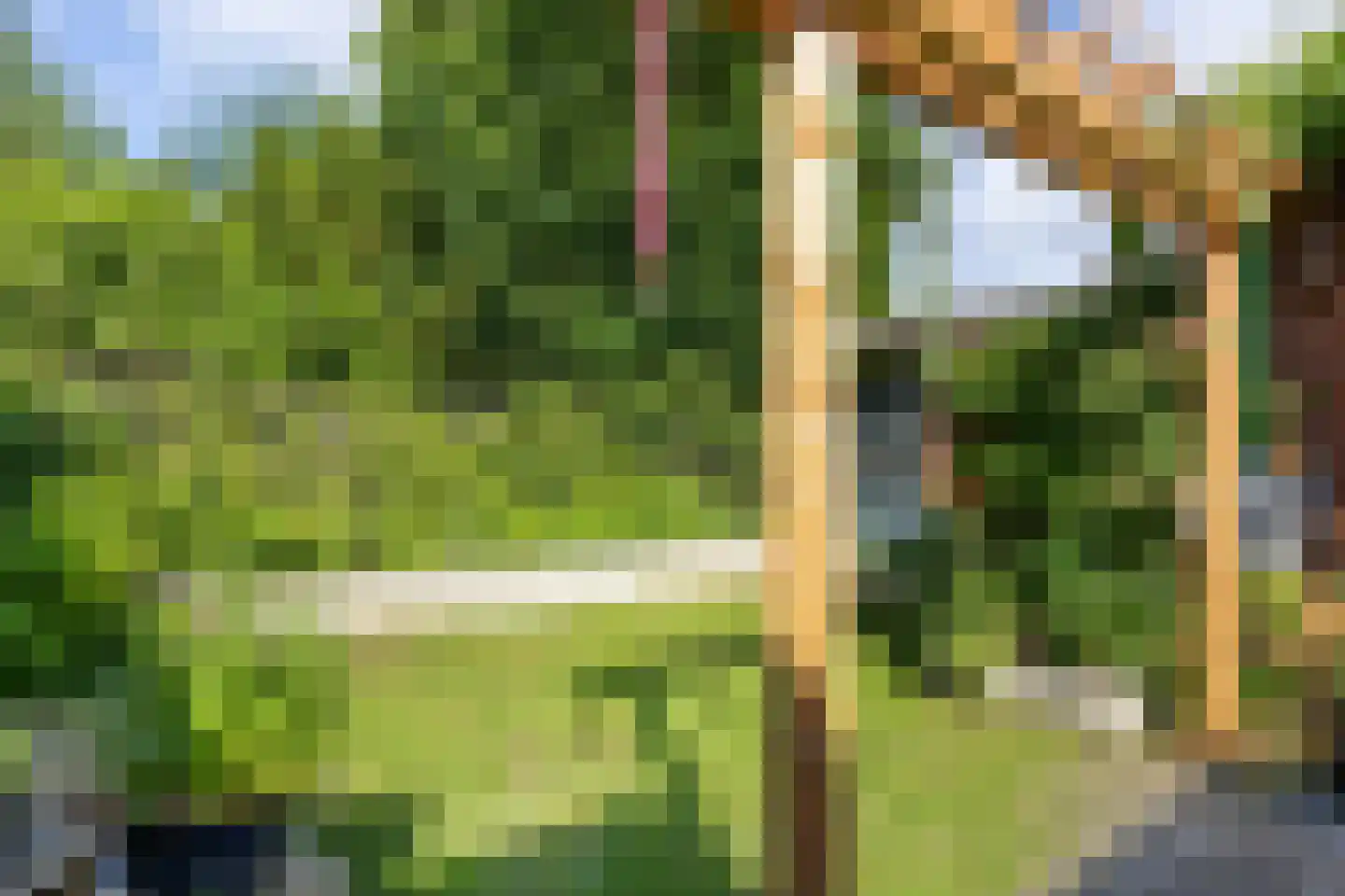 Borgweg 6 Winsum thumbnail 20