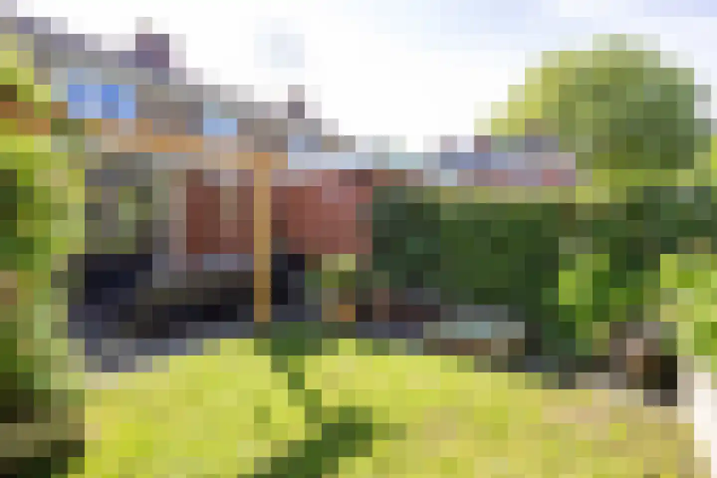 Borgweg 6 Winsum thumbnail 22