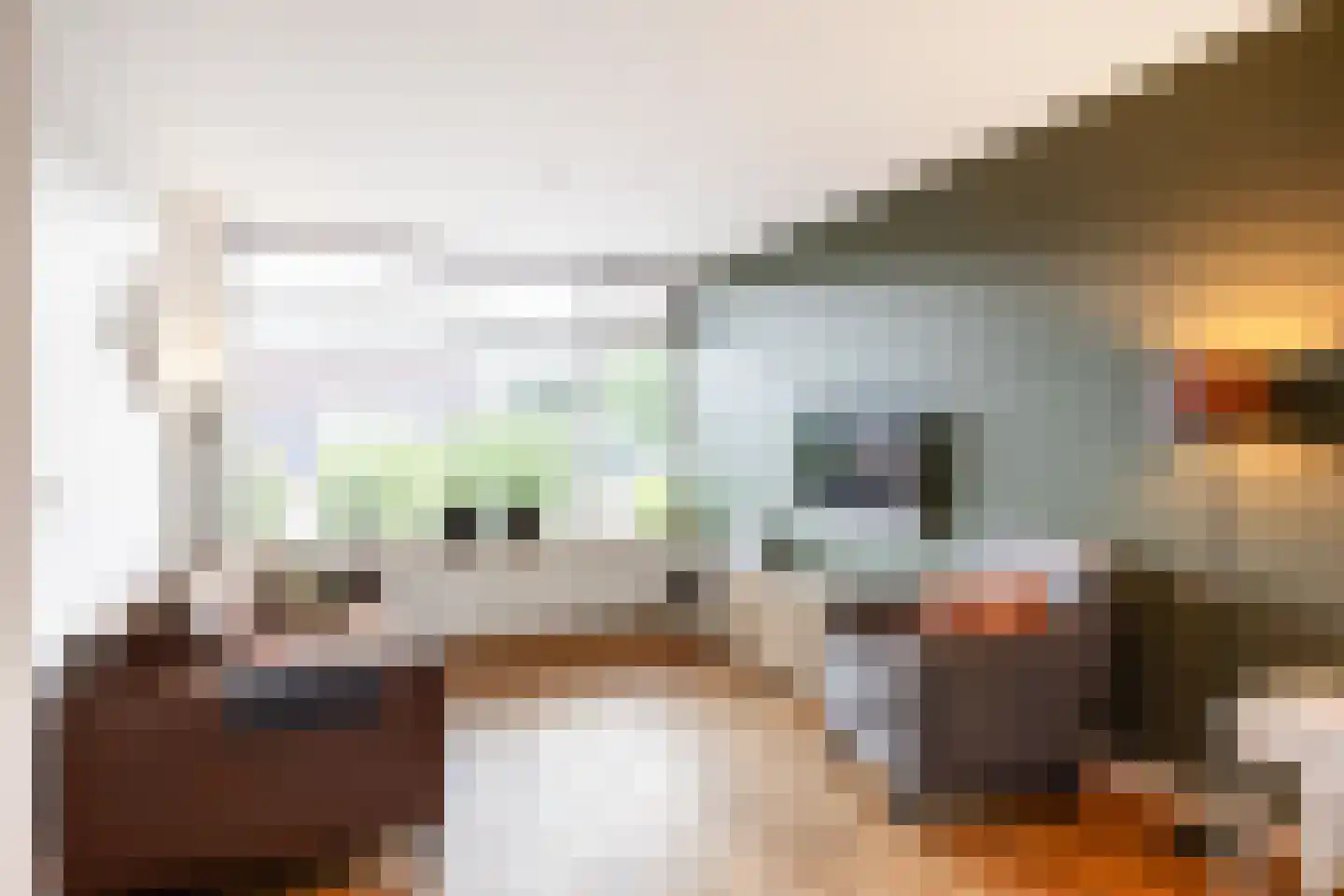 Borgweg 6 Winsum thumbnail 8