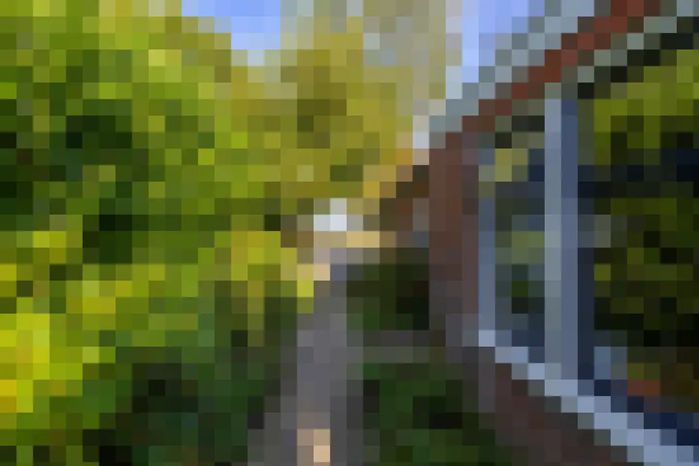 Borgweg 62 Zeerijp thumbnail 29