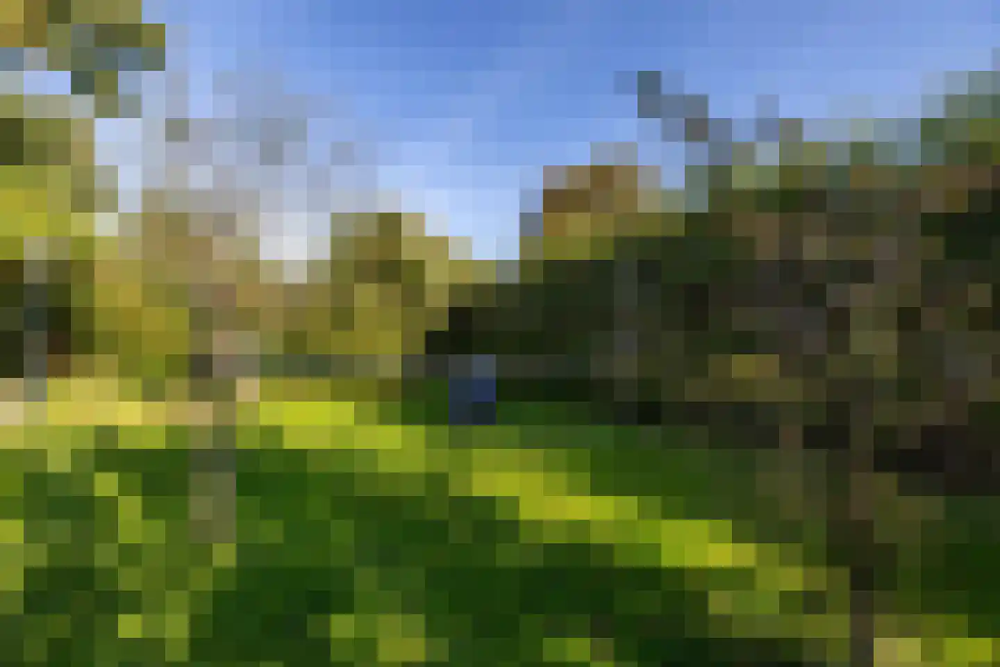 Borgweg 62 Zeerijp thumbnail 34