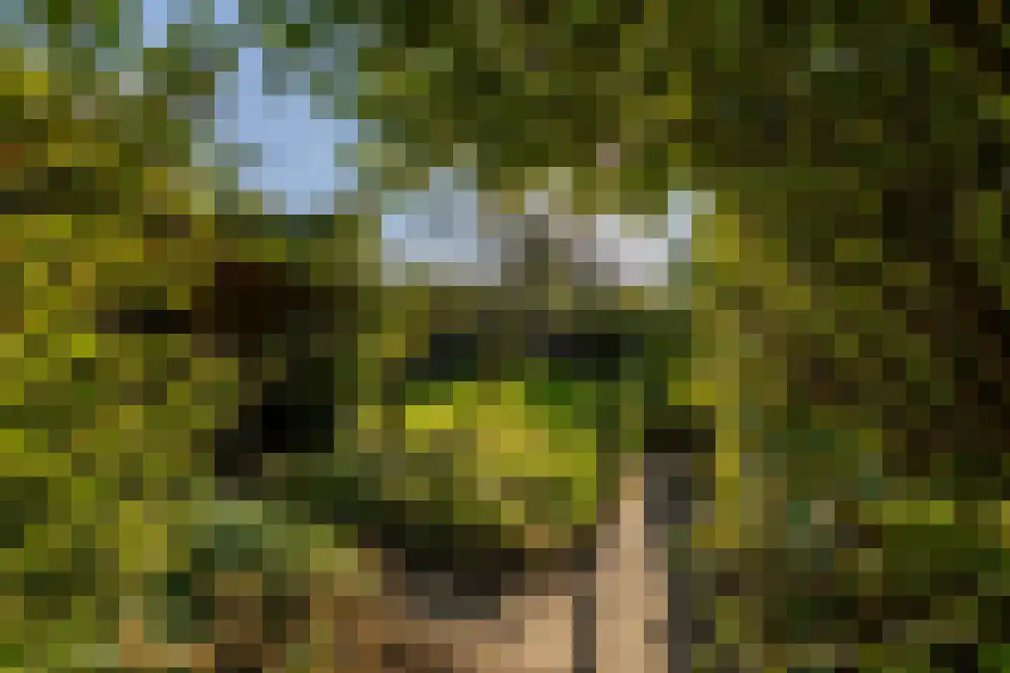 Borgweg 62 Zeerijp thumbnail 35
