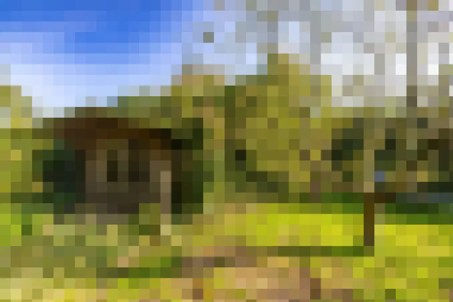 Borgweg 62 Zeerijp thumbnail 37