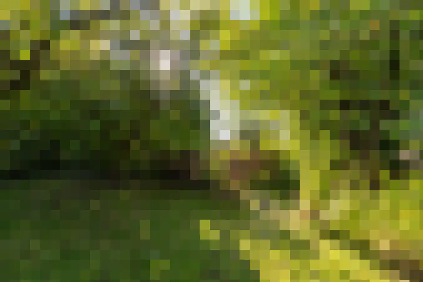 Borgweg 62 Zeerijp thumbnail 38