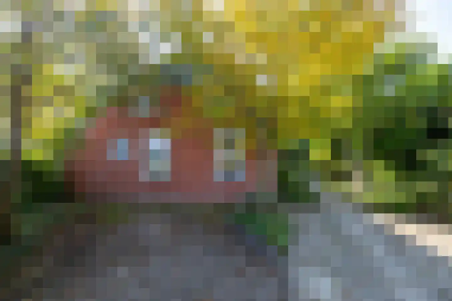 Borgweg 62 Zeerijp thumbnail 40