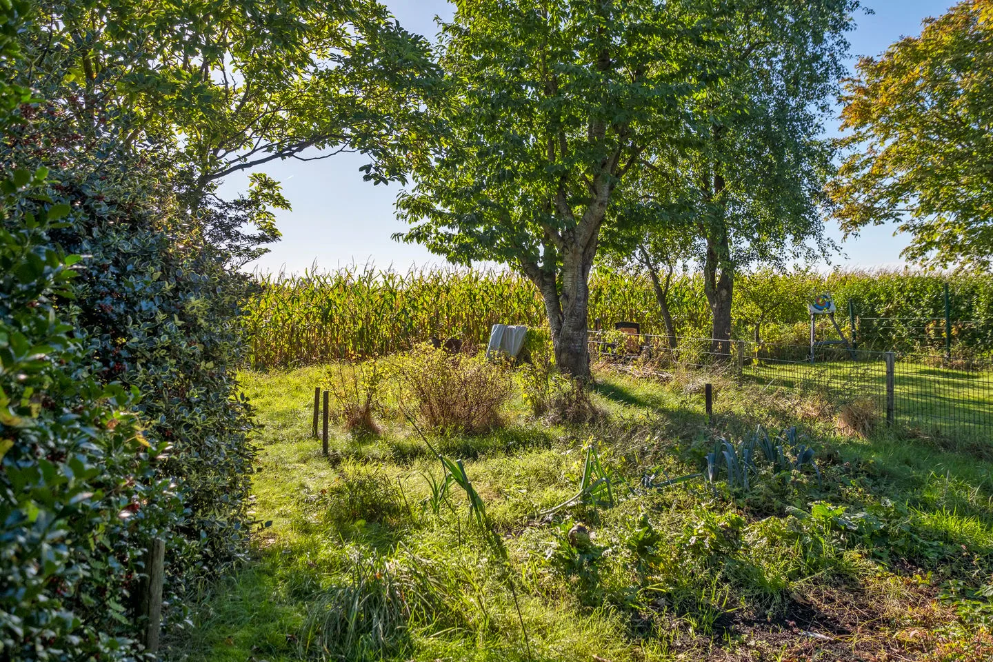 Borgweg 67 Westerbroek thumbnail 28
