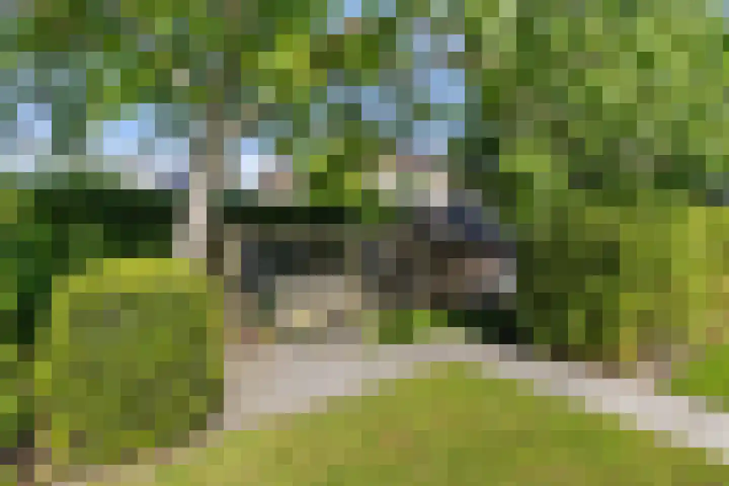Borgweg 67 Zeerijp thumbnail 42