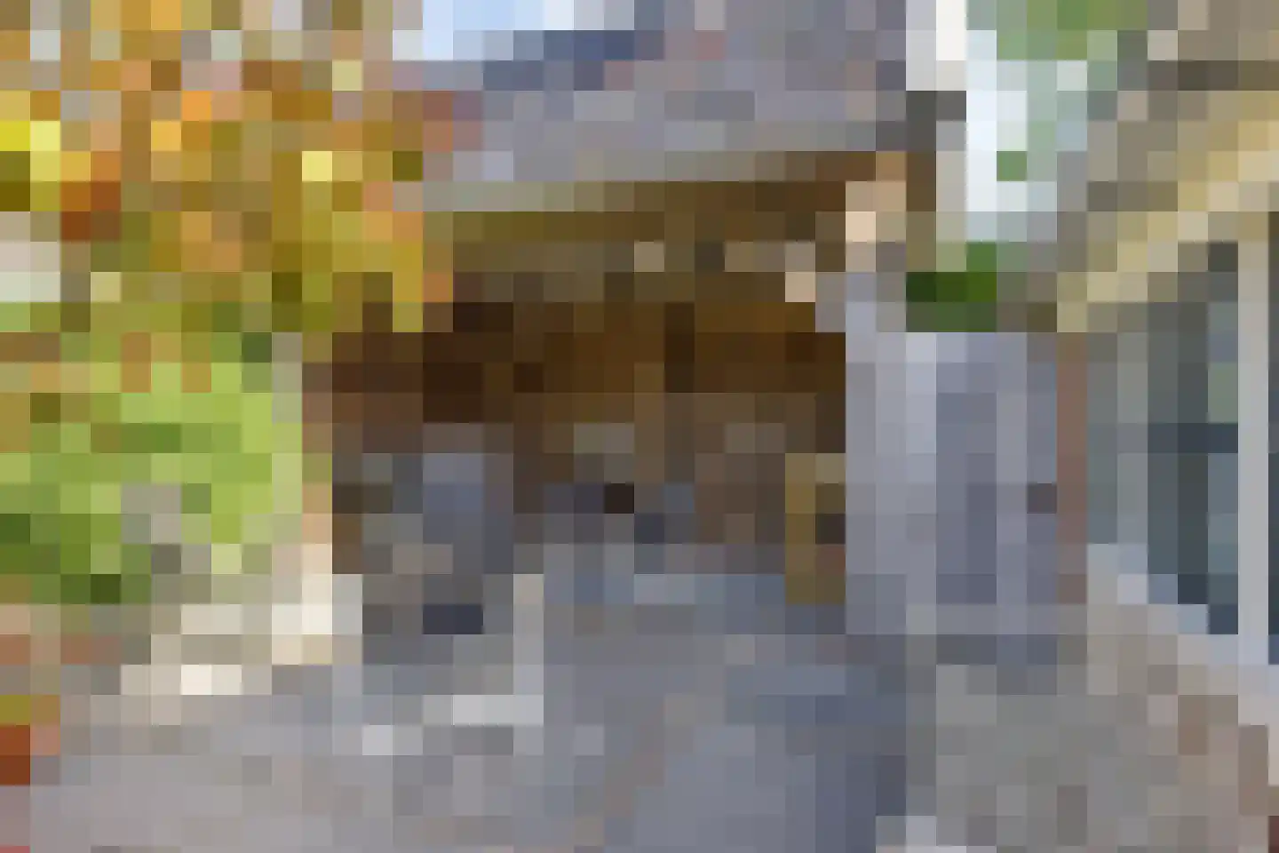 Borgweg 67 Zeerijp thumbnail 45