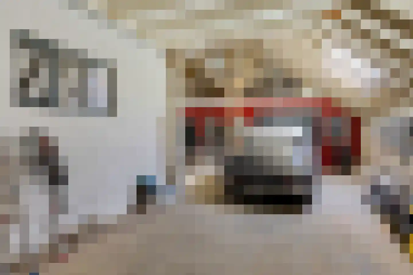 Borgweg 67 Zeerijp thumbnail 47