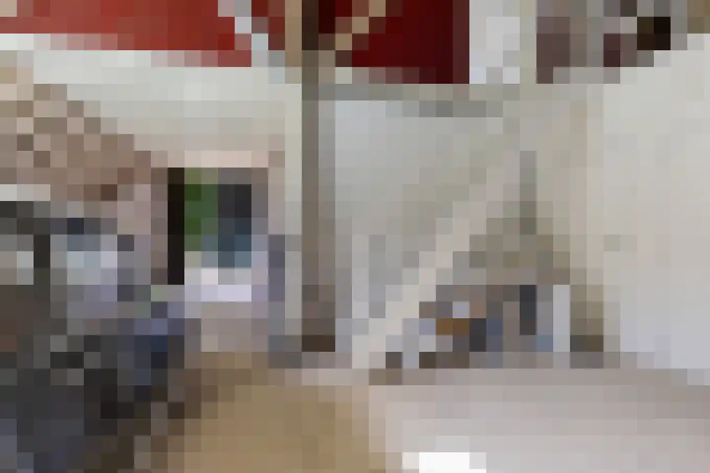 Borgweg 67 Zeerijp thumbnail 48