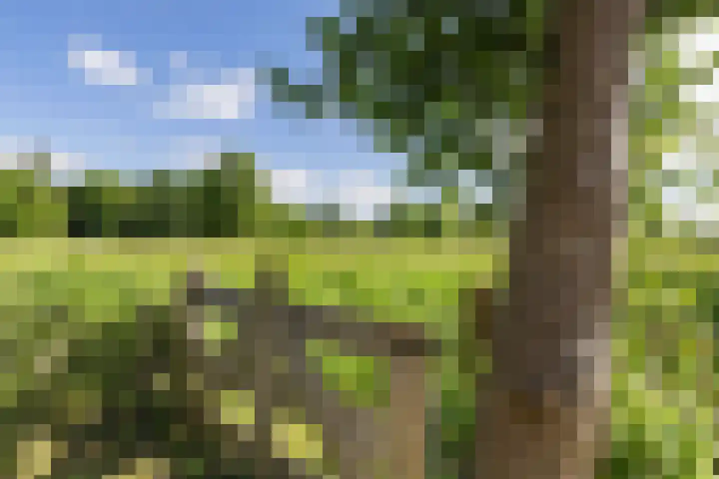 Borgweg 67 Zeerijp thumbnail 9