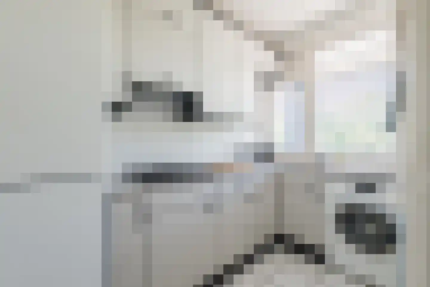 Borgweg 69 Farmsum thumbnail 14