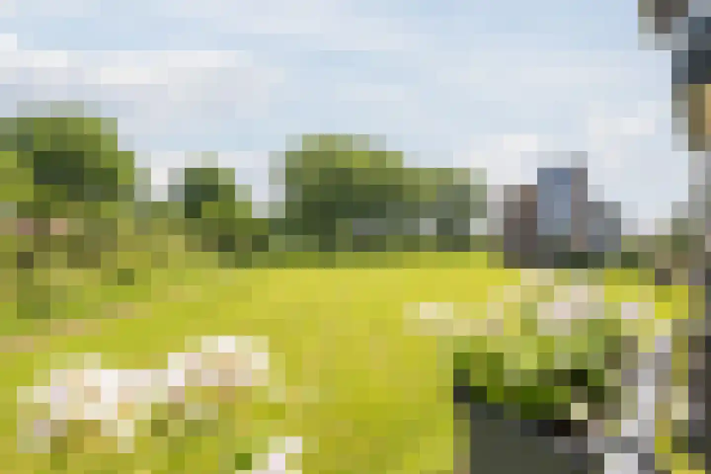 Borgweg 69 Farmsum thumbnail 30