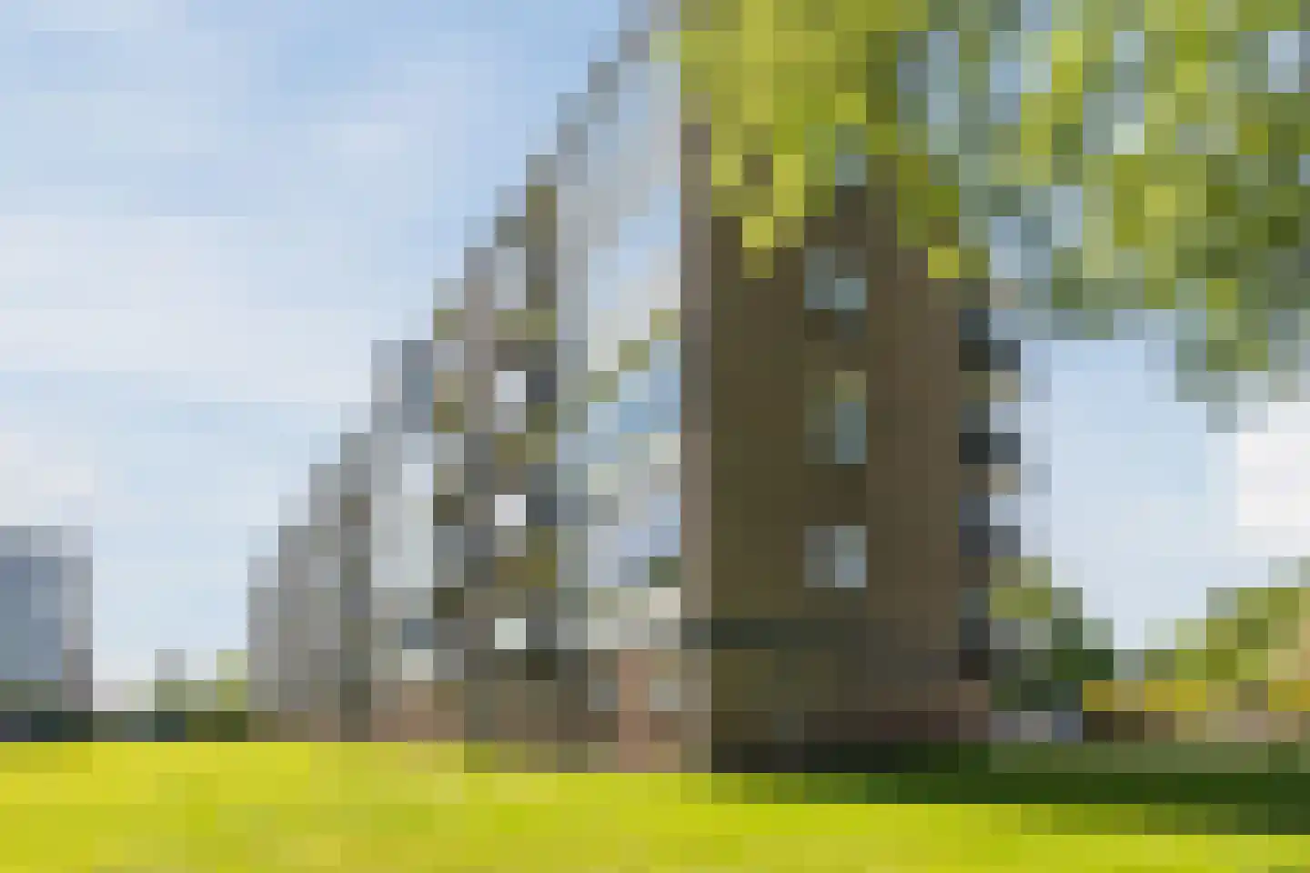 Borgweg 69 Farmsum thumbnail 33