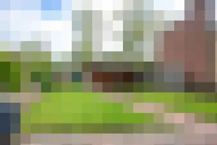 Borgweg 7 Winsum thumbnail 32
