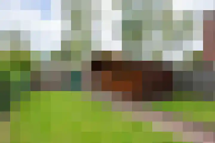 Borgweg 7 Winsum thumbnail 33