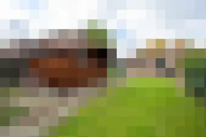 Borgweg 7 Winsum thumbnail 34