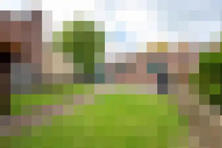 Borgweg 7 Winsum thumbnail 35