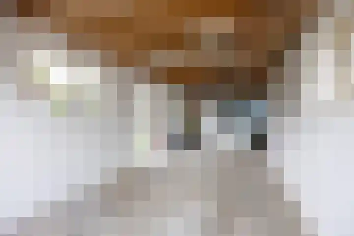 Borgweg 7 Winsum thumbnail 38