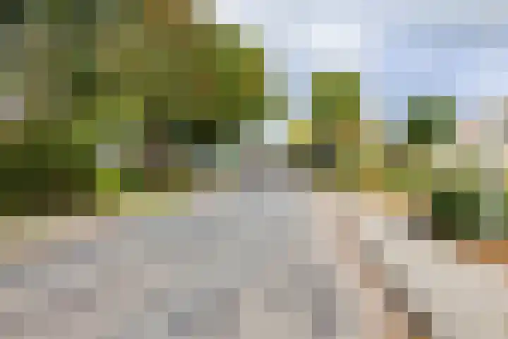 Borgweg 7 Winsum thumbnail 39
