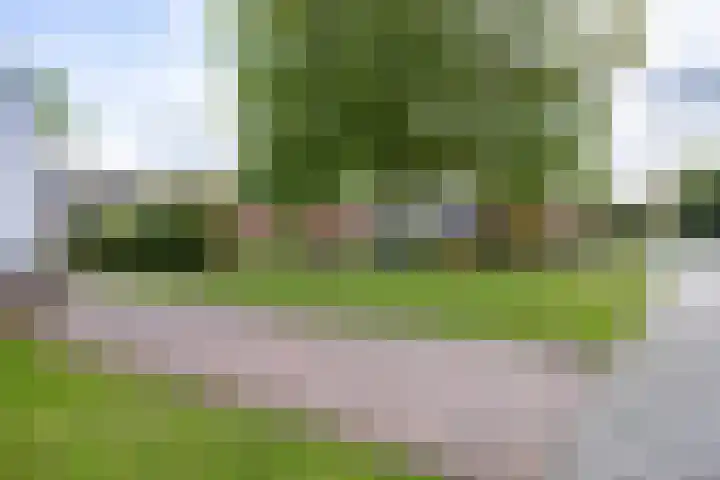 Borgweg 7 Winsum thumbnail 4
