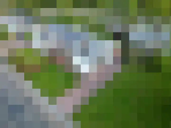 Borgweg 7 Winsum thumbnail 40
