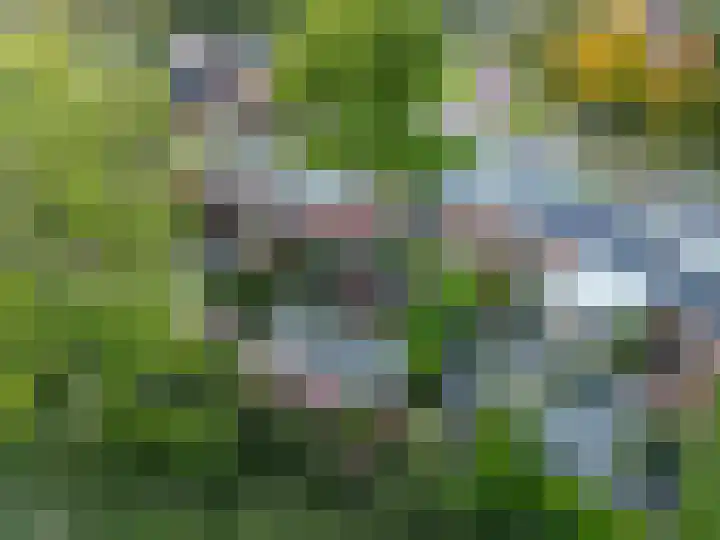 Borgweg 7 Winsum thumbnail 42