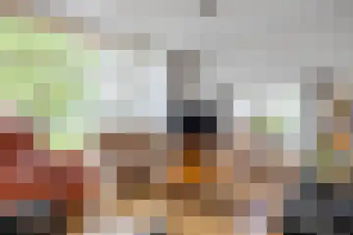 Borgweg 7 Winsum thumbnail 8