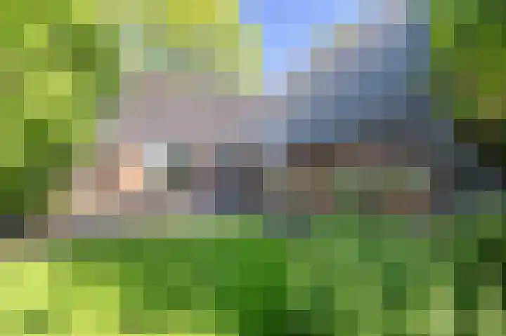 Borgweg 76 Zeerijp thumbnail 43