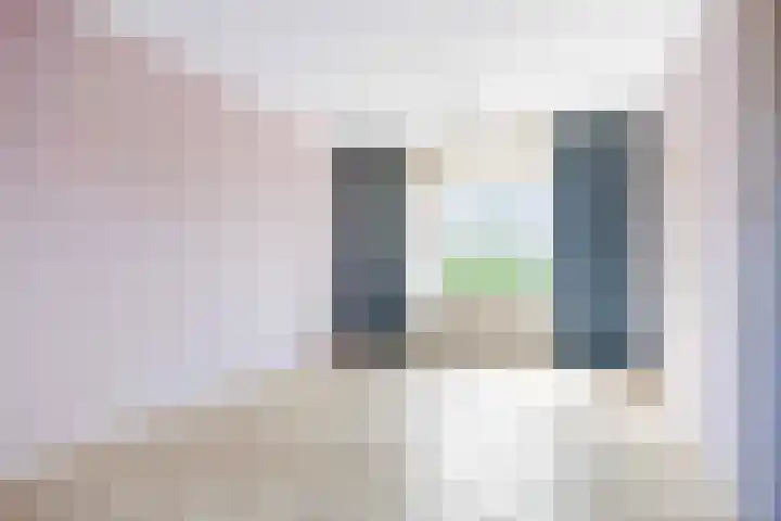 Borgweg 77 Winsum thumbnail 10