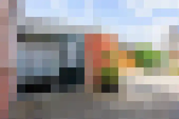 Borgweg 77 Winsum thumbnail 28