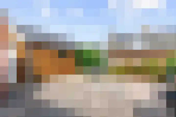 Borgweg 77 Winsum thumbnail 29